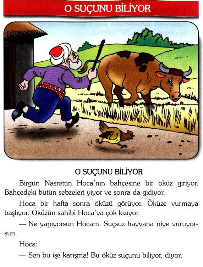 nassredinhoca7